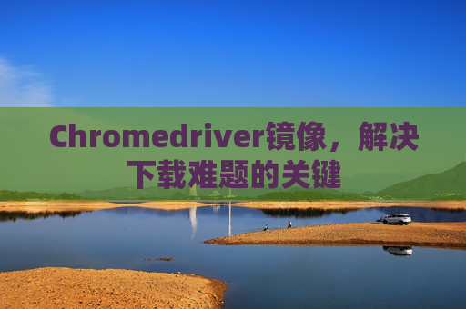Chromedriver镜像，解决下载难题的关键